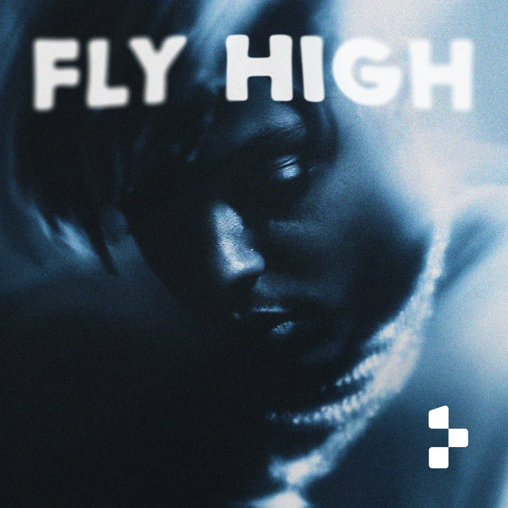FLY HIGH cover
