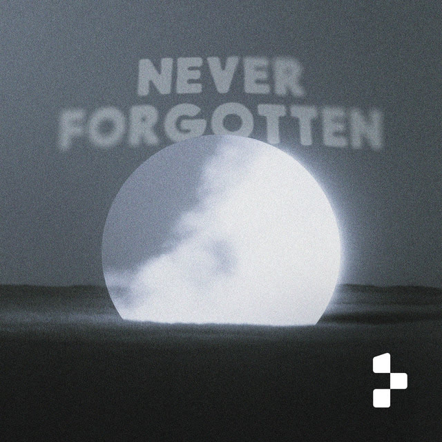 NEVER FORGOTTEN cover